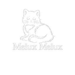 MeiuxMeiux media